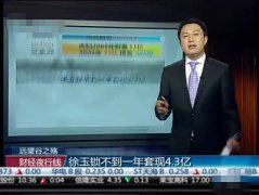 远望谷原董事长逃亡路上套现3.8亿元