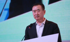 王健林：房地产业整体过剩是真正的常态